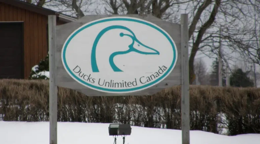 $350,000 To Support Ducks Unlimited Projects In New Brunswick