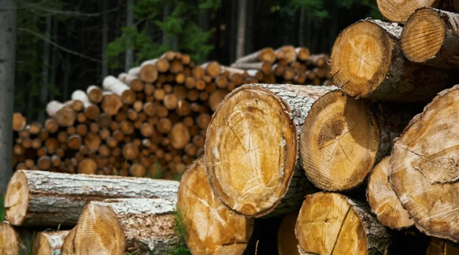 Royalty Increases On The Way To Crown Land Wood
