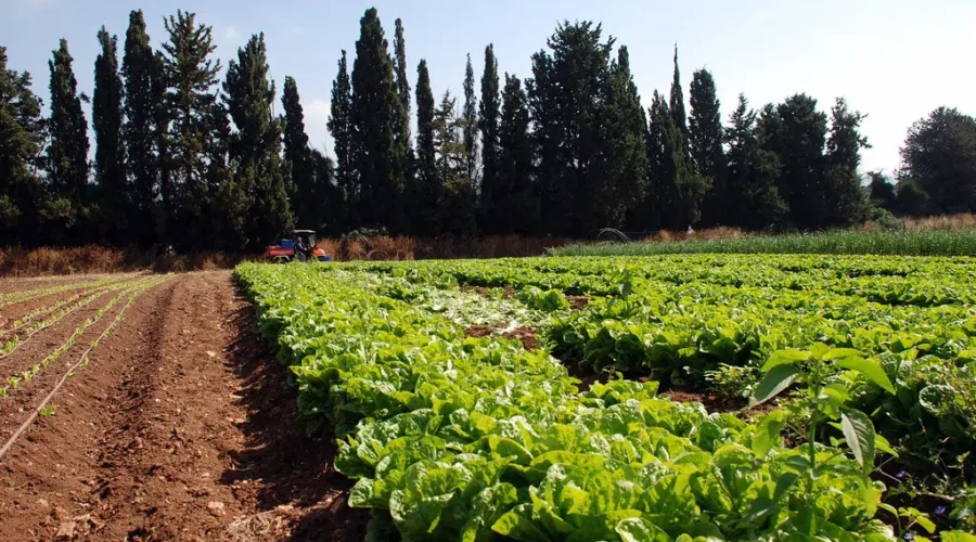 NB Agriculture Alliance Launches New Educational Resource Website