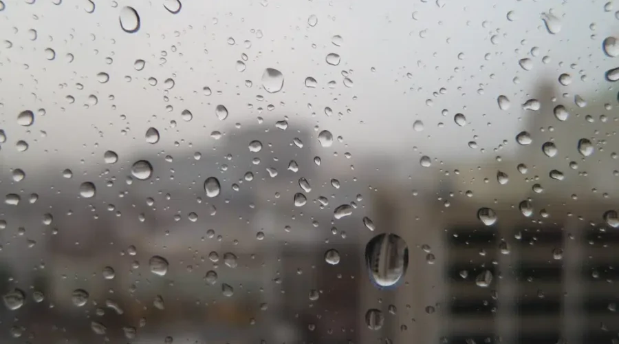 Heavy Rain In The Forecast