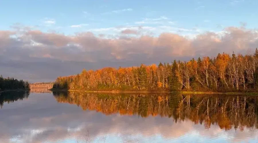 Is it August Or October?