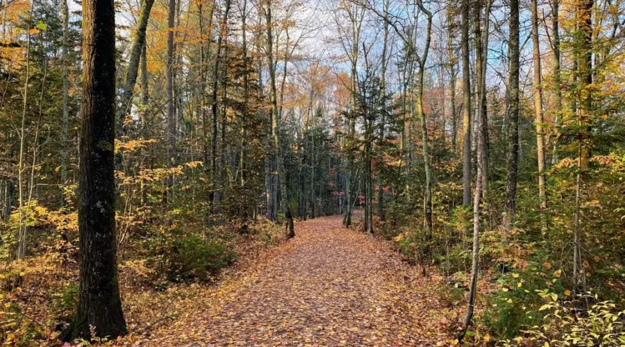 Summer-Like Weather Abruptly Ends