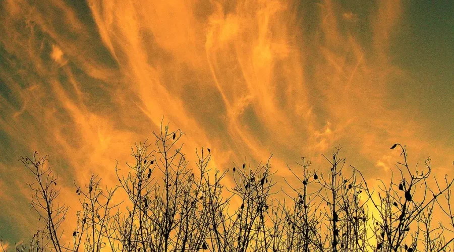 Quiet Forest Fire Season In N.B.