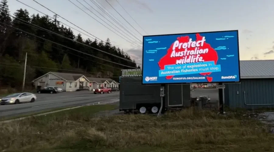 Australian Group Says Cooke Acquisition Uses ‘Sonic Torture’ Devices On Seals