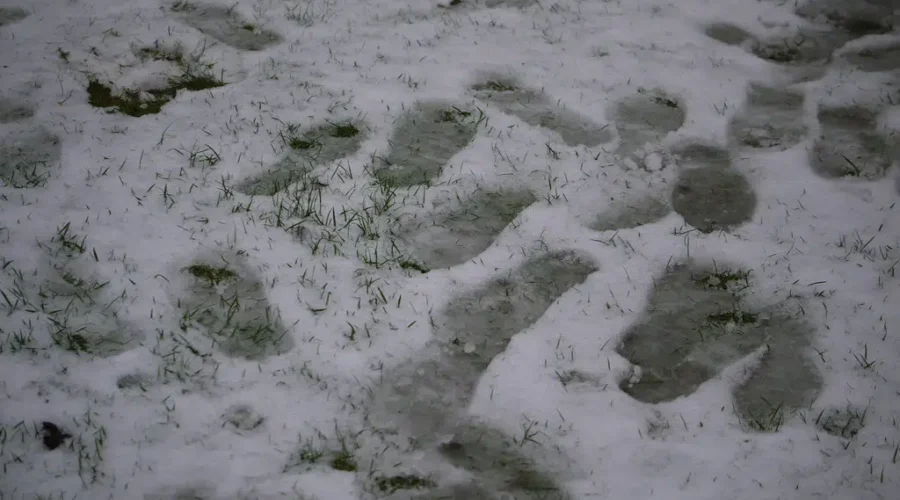 Heavy Rain And Snow For NB This Weekend