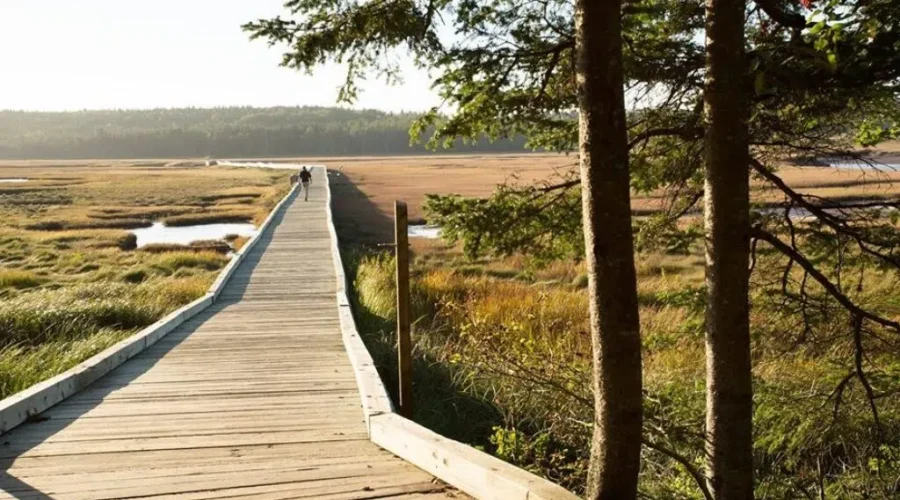 JDI Earmarks Massive Tract Of Private N.B. Land For Conservation