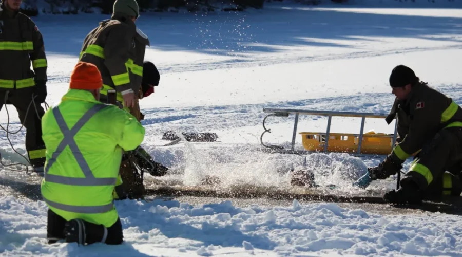 Ring In The New Year With A Polar Dip