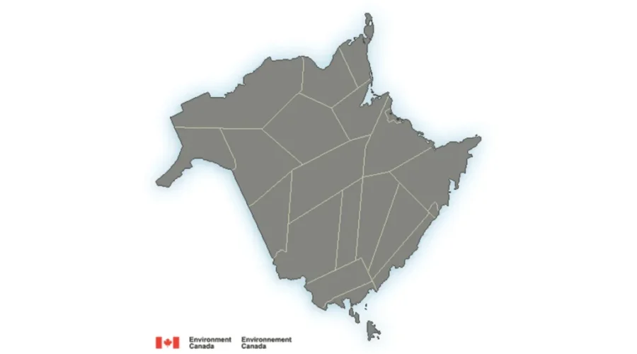 Winter Storm To Bring Heavy Rain For Southern N.B.