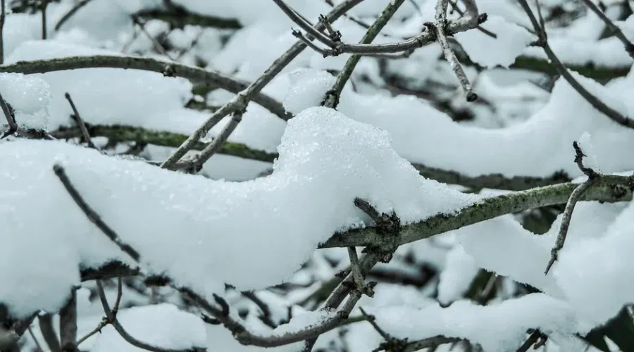 UPDATED: More snow to wrap up the weekend
