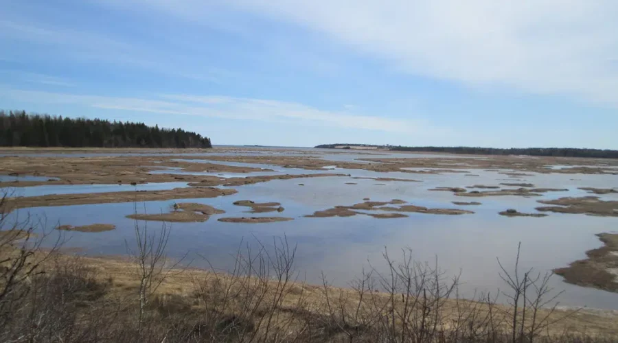 Feds contribute over $1 million for Cape Jourimain Nature Centre