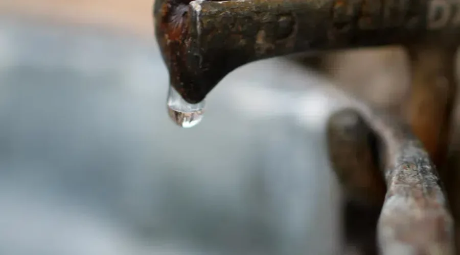 March is a Maplelicious month!