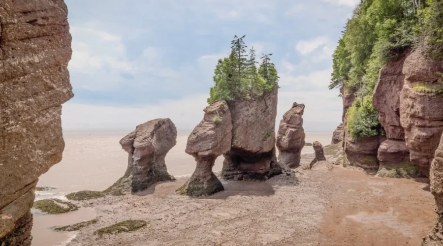 Provincial tourism association optimistic for 2023 season