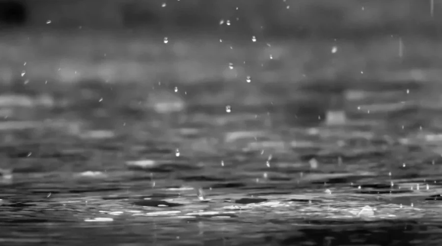 Rainfall warning for parts of southern N.B.