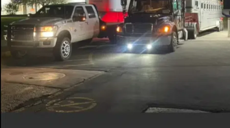 N.B. farmer helping move livestock in N.S. away from forest fires