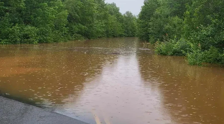 The bodies of two children have been found in the search for the missing people in West Hants
