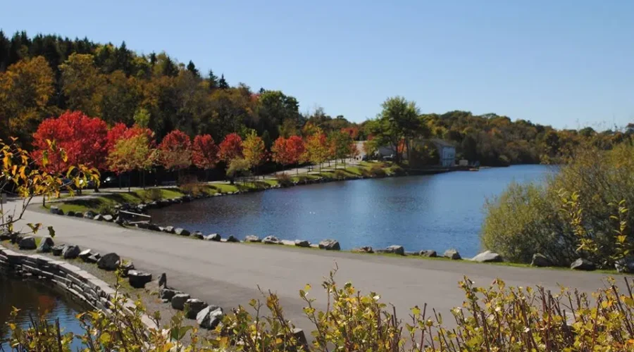 Army reservists training at Saint John park