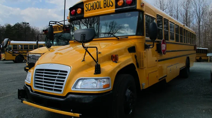 School bus drivers’ union welcomes stop-arm cameras