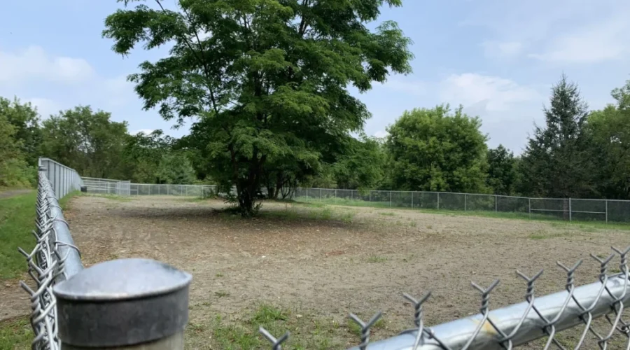 Off-leash dog park opens in St. Stephen