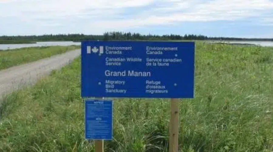 Restoration project on Grand Manan to begin this week