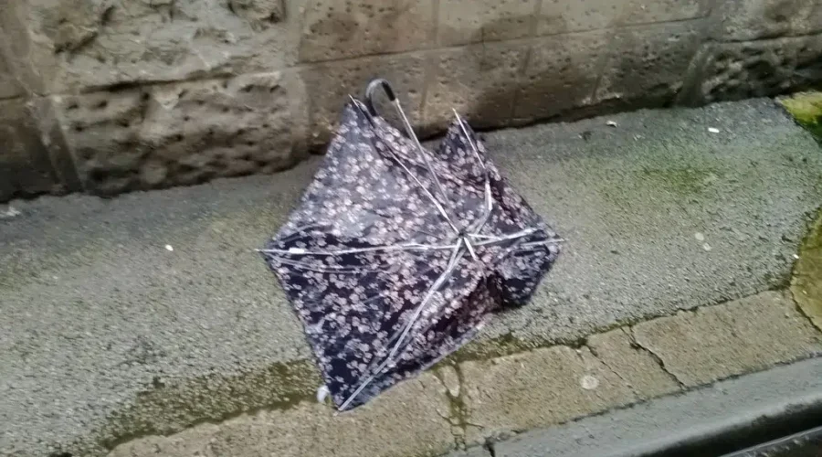 Rain and wind expected in N.B. for the weekend