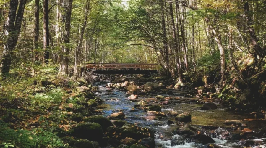 Environment Trust Fund applications being accepted