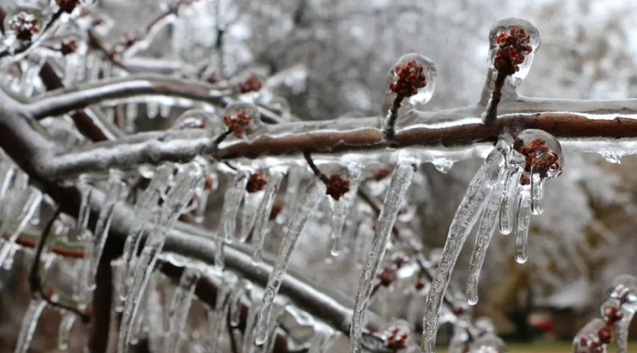 Freezing rain and snow for parts of southern N.B.