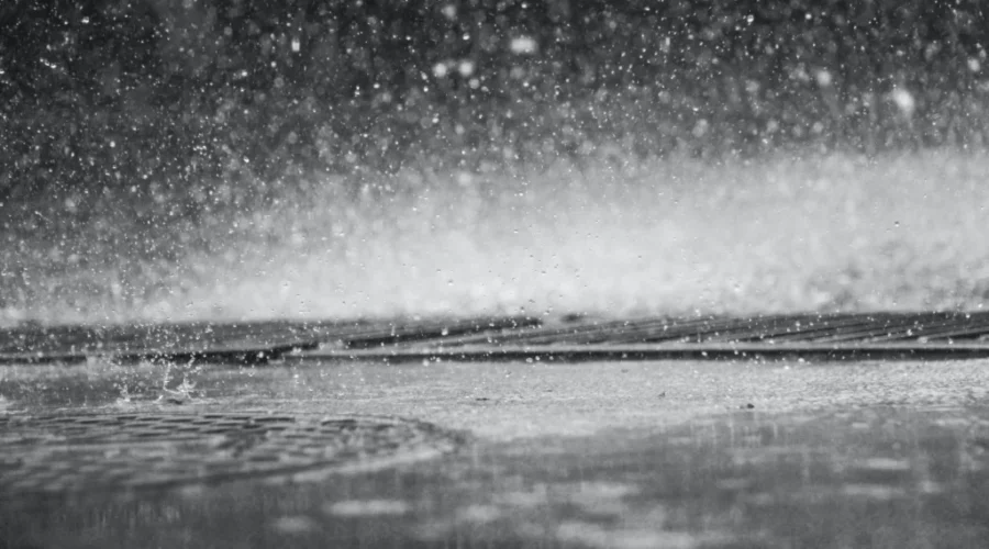 More heavy rain, strong winds possible next week