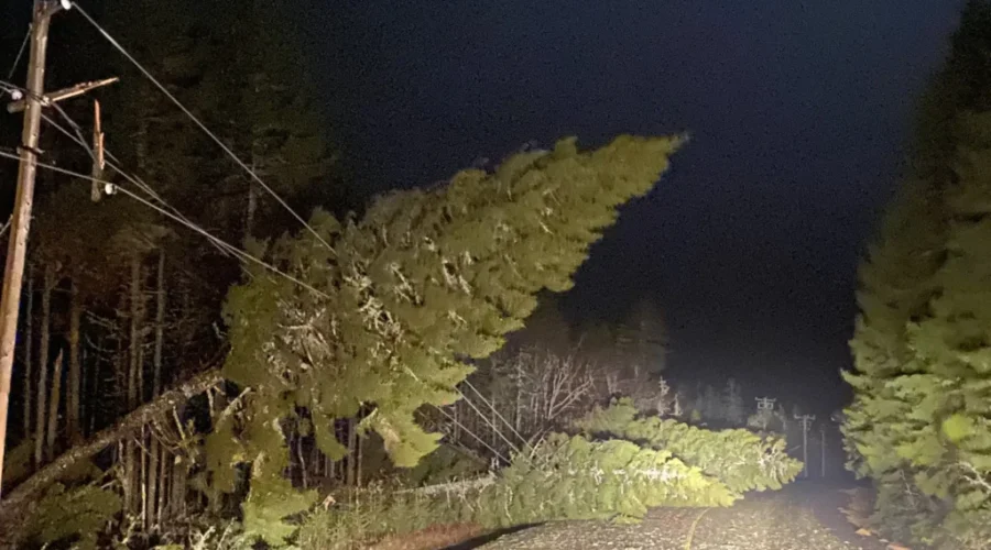 Register your storm damages with the province