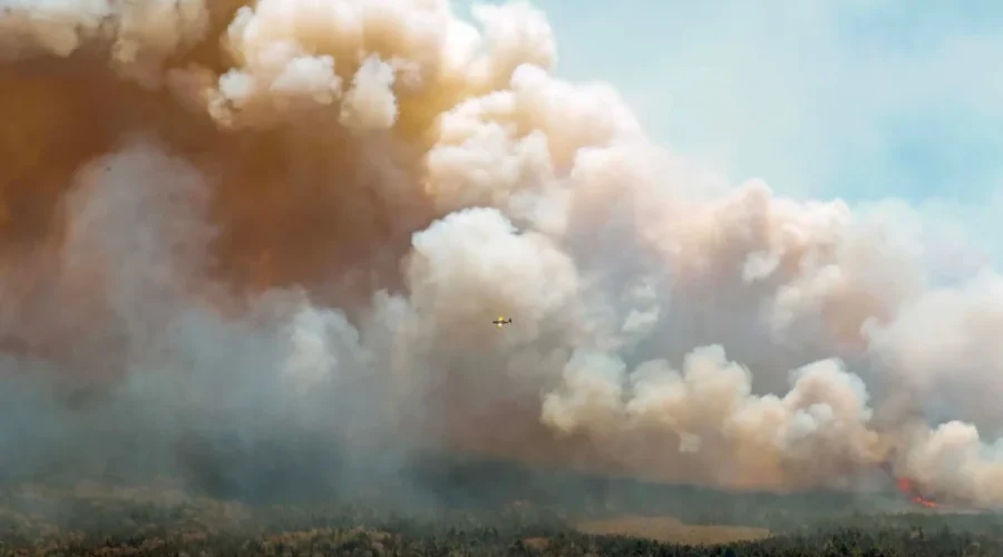 Charges laid in Barrington Lake wildfire