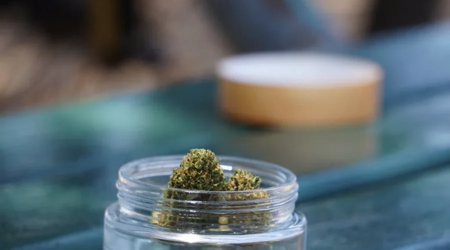 NB Liquor, Cannabis N.B. see increased sales