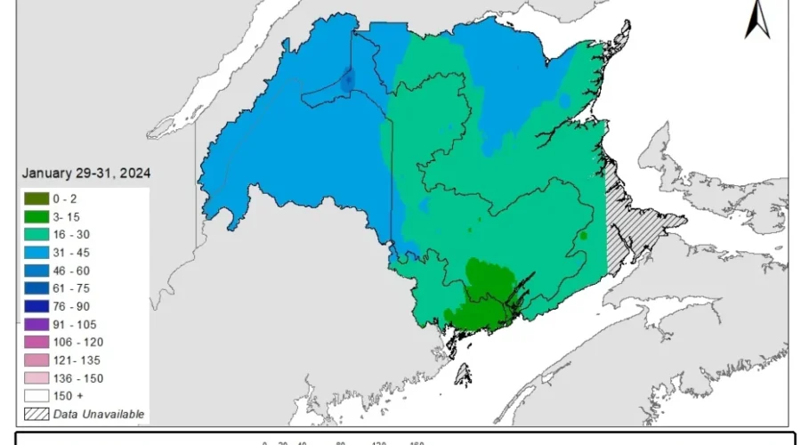Southern N.B. lacking snow this winter