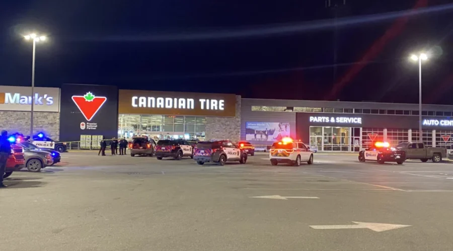 Stabbed police officer released from hospital