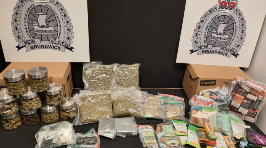 Peace officers raid Saint John dispensary