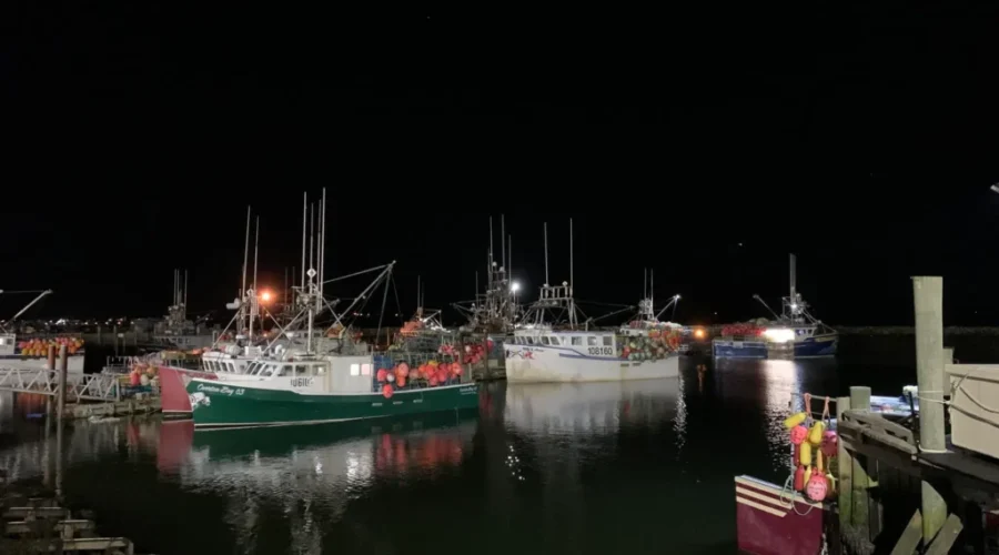 Feds investing in small craft harbours