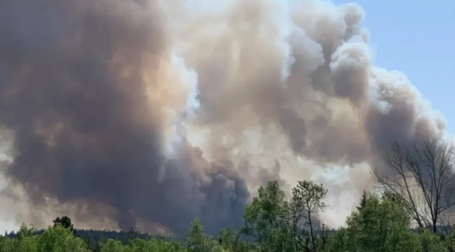 Wildfire season underway in N.B.