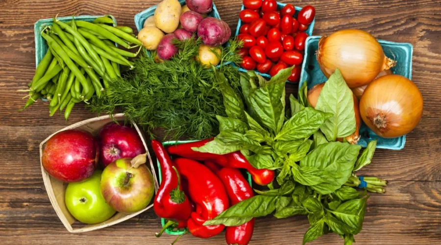 Perishable food rescue centre coming to N.B.