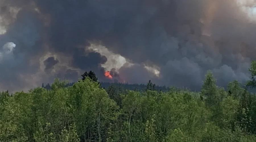 Communication during Bocabec wildfire ‘challenging’: report