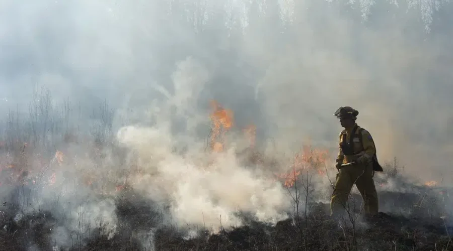 Feds announce wildfire prevention, relief funding