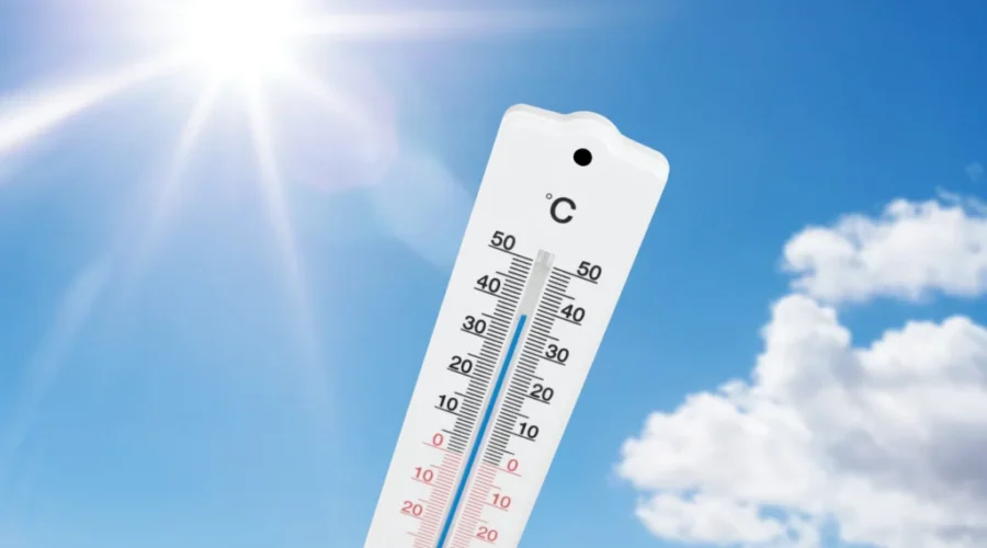 Temperature records set during heatwave in N.B.