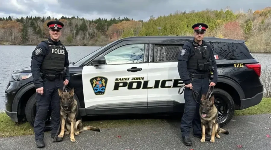 Man arrested after Saint John break-in