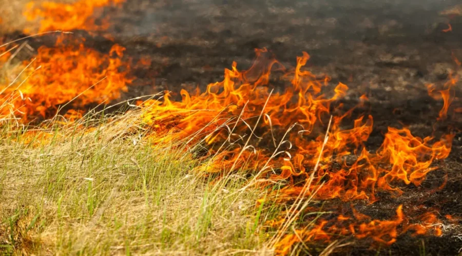 Wildfire season ‘fairly decent’ in N.B.