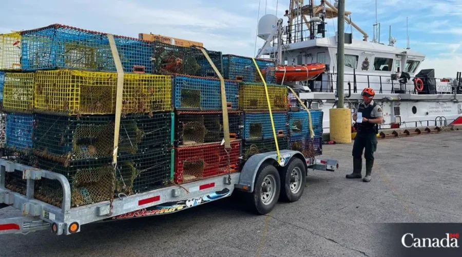 DFO to contract new patrol boat to monitor Lobster fishing in Bay of Fundy