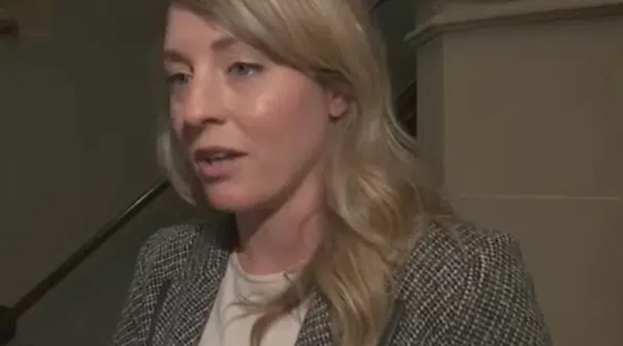 Foreign Affairs Ministers says Canada must bolster security and diversify trading partners