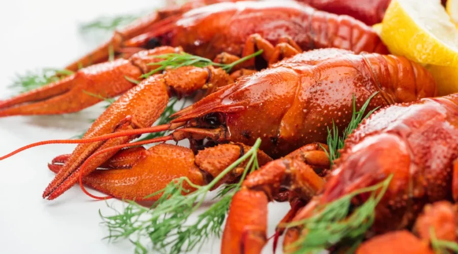 N.B companies participating in Seafood Expo in Boston