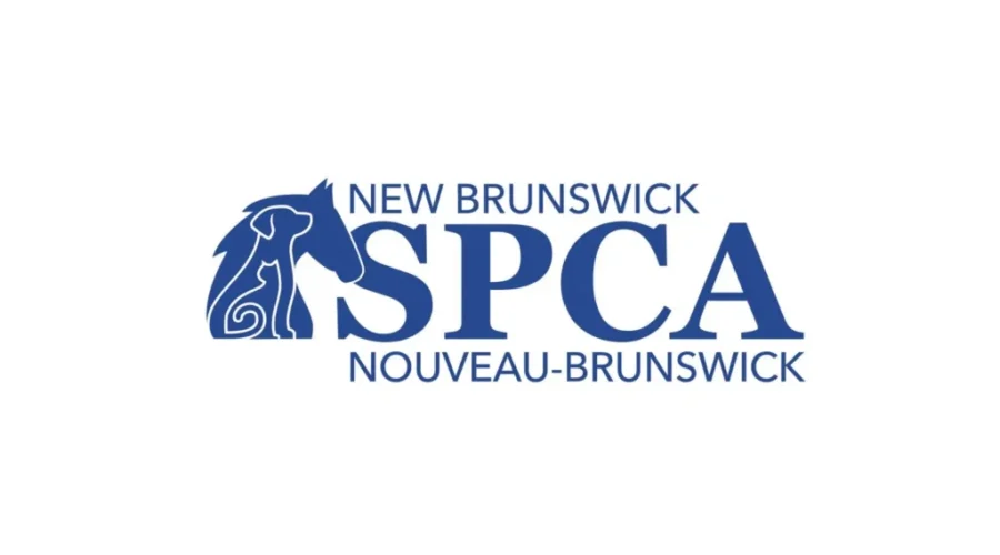 41 dogs living in “extremely unsanitary conditions” rescued by NBSPCA