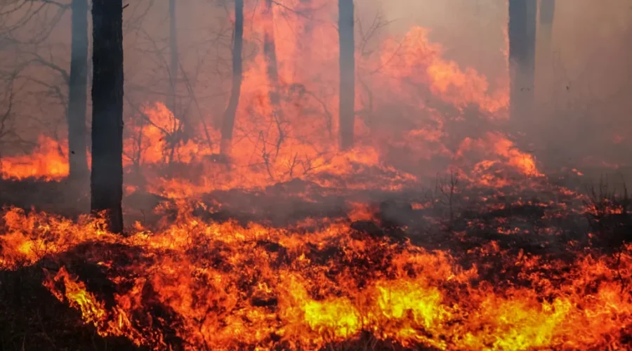 Wildfire season begins next week