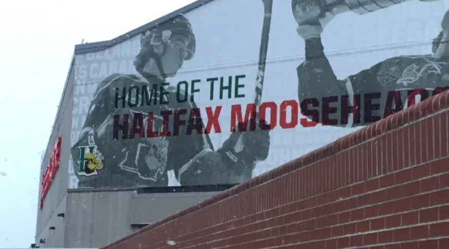 Mooseheads look to bounce back, Wildcats try to keep rolling