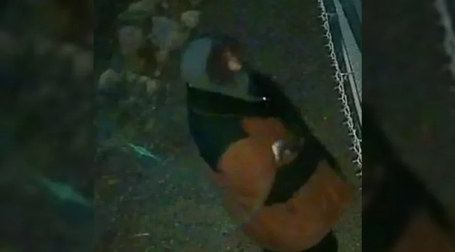 Six RVs burned in suspected arson, RCMP seek public’s help