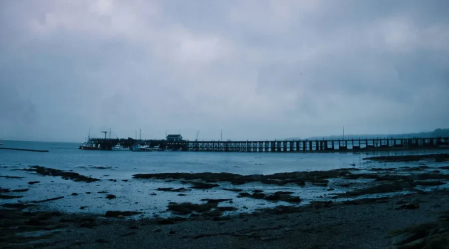 Saint Andrews delays wharf project to commission new study