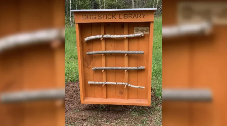 Dogs giving Riverview stick library a big a-paws